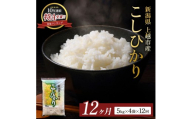 9月開始 コシヒカリ 無洗米 新潟県 上越産 5kg 3か月 定期便 こしひかり 五つ星お米マイスターのいるお店 お米 精米 米 ご飯 大黒屋商店