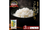 9月開始 コシヒカリ 無洗米 新潟県 上越産 5kg 6か月 定期便 こしひかり 五つ星お米マイスターのいるお店 お米 精米 米 ご飯 大黒屋商店