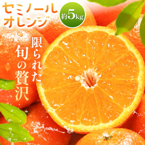オレンジ セミノールオレンジ 約5kg 株式会社魚鶴商店《2027年5月上旬-5月中旬頃出荷予定》 和歌山県 日高町 柑橘 フルーツ 2740490 - 和歌山県日高町
