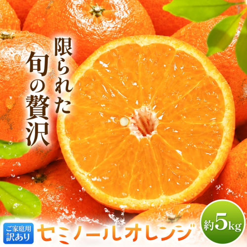 オレンジ 訳あり ご家庭用 セミノールオレンジ 約5kg 株式会社魚鶴商店《2027年5月上旬-5月中旬頃出荷予定》 和歌山県 日高町 柑橘 フルーツ 2740492 - 和歌山県日高町