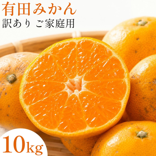 【訳ありご家庭用】和歌山有田みかん10kg 2S～2L サイズ混合 魚鶴商店《11月下旬-12月下旬頃出荷》 和歌山県 日高町 みかん 柑橘 訳アリ ご家庭用 2740493 - 和歌山県日高町