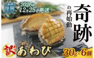 【2026年12月25日発送！！】 奇跡の再始動 訳あり三陸翡翠あわび 30g×6個 冷凍 蒸し鮑 鮑 青空レストラン 蝦夷あわび あわび アワビ 鮑 Abalone ステーキ バターソテー 正月 お正月 おせち バーベキュー BBQ ごはん 夕飯 おかず おつまみ 晩酌 米 丼 海産物 海鮮 魚介 魚介類 贈答品 お中元 お歳暮 大船渡 三陸 岩手県 国産