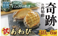 【2026年11月30日発送！！】 奇跡の再始動 訳あり三陸翡翠あわび 30g×6個 冷凍 蒸し鮑 鮑 青空レストラン 蝦夷あわび あわび アワビ 鮑 Abalone ステーキ バターソテー 正月 お正月 おせち バーベキュー BBQ ごはん 夕飯 おかず おつまみ 晩酌 米 丼 海産物 海鮮 魚介 魚介類 贈答品 お中元 お歳暮 大船渡 三陸 岩手県 国産