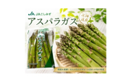 北海道オホーツク小清水産 極太グリーンアスパラ(2L) 1kg(500g×2袋)【1765642】