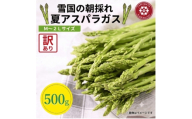 令和8年 山形県川西町産 雪国朝採れアスパラガス(夏) 訳あり(不揃い)M～2L 相当　500g【1764659】