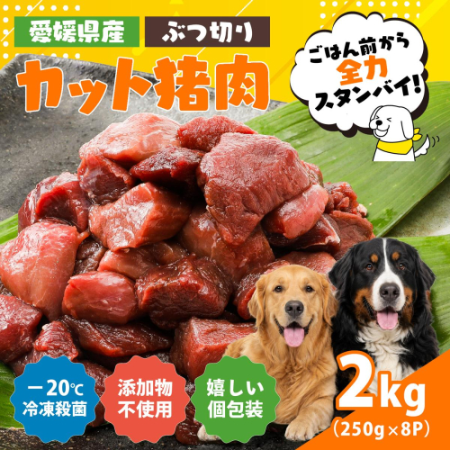 【愛犬用】カット猪肉（ぶつ切り）2kg（250g×8P）＜ペット ペットフード 犬 ワンちゃん個包装 餌 毎日 ジビエ 犬用 おやつ 猪肉 愛媛県産 鬼北町 ドッグフード 冷凍殺菌 特定非営利活動法人Cambio＞ 2740841 - 愛媛県鬼北町