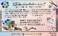 ビーチコーミング体験４名様