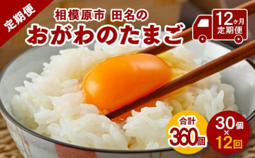 【配送月選択可】相模原市田名のおがわのたまご　ピンク卵　Mサイズ 30個(27個＋割れ補償3個)×12か月【12ヶ月定期便】 2740895 - 神奈川県相模原市