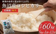 米 コシヒカリ魚沼産コシヒカリ 魚沼コシヒカリ 定期便  計60kg (5kg1袋×12回) 毎月お届け 令和7年産 精米 共栄農工社 | 魚沼産こしひかり 魚沼こしひかり 新潟県産コシヒカリ 新潟産コシヒカリ 新潟県産こしひかり こしひかり 新潟産こしひかり 新潟こしひかり 新潟コシヒカリ お米 白米 おこめ コメ オコメ にいがた 新潟県 小千谷市 【0002-KY25DB00】