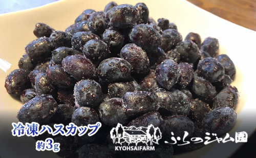 ◆ふらのジャム園◆ 冷凍 ハスカップ 10袋セット ( 果物 フルーツ 冷凍食品 新鮮 産地直送 北海道 道産 富良野 ) 2741156 - 北海道富良野市