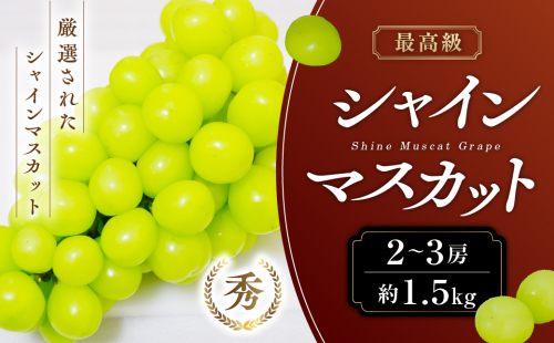 【2026年分発送】 最高級 シャインマスカット 2～3房 約1.5kg 先行予約 山梨県産 産地直送 フルーツ 果物 くだもの ぶどう ブドウ 葡萄 シャイン シャインマスカット 新鮮 人気 おすすめ 国産 贈答 ギフト お取り寄せ 山梨 甲斐市 AN-11 2741158 - 山梨県甲斐市