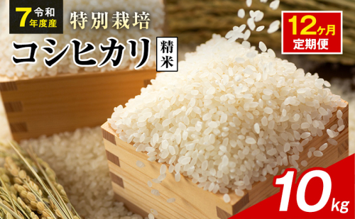 令和7年産 特別栽培米 コシヒカリ 白米 10kg 静岡県産 色彩選別済 食に意識高い方へオススメ 12ヶ月定期便 2741292 - 静岡県袋井市