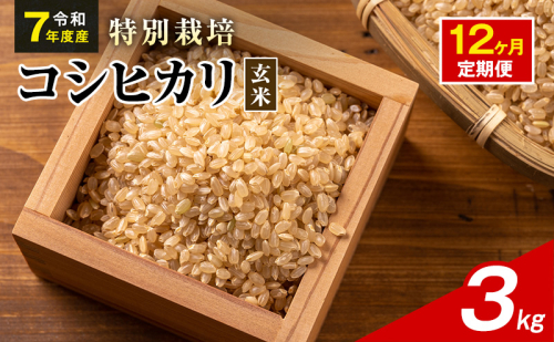 令和7年産 特別栽培米 コシヒカリ 玄米 3kg 静岡県産 色彩選別済 食に意識高い方へオススメ 12ヶ月定期便 2741298 - 静岡県袋井市
