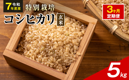 令和7年産 特別栽培米 コシヒカリ 玄米 5kg 静岡県産 色彩選別済 食に意識高い方へオススメ 3ヶ月定期便 2741299 - 静岡県袋井市