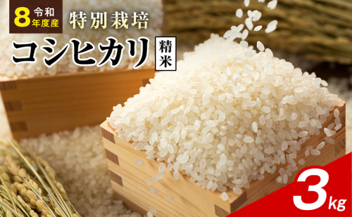 令和8年産 特別栽培米 コシヒカリ 白米 3kg 静岡県産 色彩選別済 食に意識高い方へオススメ 2741305 - 静岡県袋井市