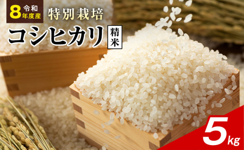 令和8年産 特別栽培米 コシヒカリ 白米 5kg 静岡県産 色彩選別済 食に意識高い方へオススメ 2741306 - 静岡県袋井市