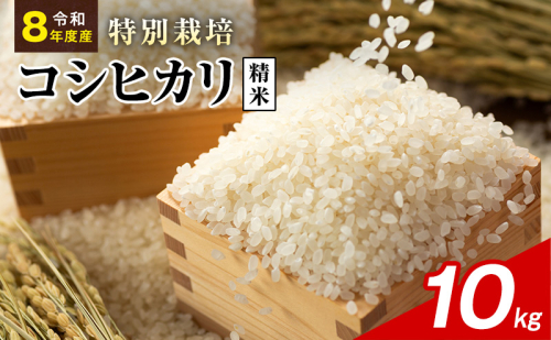 令和8年産 特別栽培米 コシヒカリ 白米 10kg 静岡県産 色彩選別済 食に意識高い方へオススメ 2741307 - 静岡県袋井市