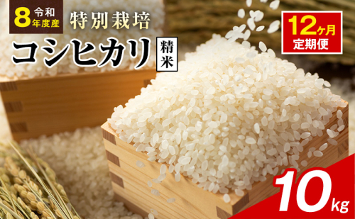 令和8年産 特別栽培米 コシヒカリ 白米 10kg 静岡県産 色彩選別済 食に意識高い方へオススメ 12ヶ月定期便 2741316 - 静岡県袋井市