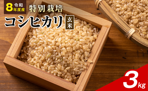 令和8年産 特別栽培米 コシヒカリ 玄米 3kg 静岡県産 色彩選別済 食に意識高い方へオススメ 2741317 - 静岡県袋井市