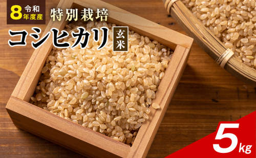 令和8年産 特別栽培米 コシヒカリ 玄米 5kg 静岡県産 色彩選別済 食に意識高い方へオススメ 2741318 - 静岡県袋井市