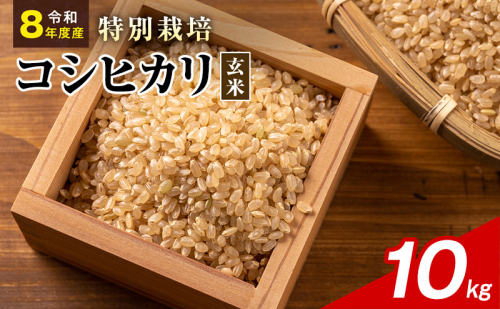 令和8年産 特別栽培米 コシヒカリ 玄米 10kg 静岡県産 色彩選別済 食に意識高い方へオススメ 2741319 - 静岡県袋井市
