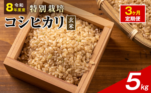 令和8年産 特別栽培米 コシヒカリ 玄米 5kg 静岡県産 色彩選別済 食に意識高い方へオススメ 3ヶ月定期便 2741323 - 静岡県袋井市
