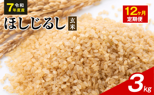 令和7年度産 ほしじるし 3kg 玄米 12ヶ月定期便 米 静岡県 袋井市【離島配送不可】 2741358 - 静岡県袋井市