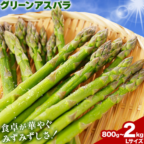 アスパラガス アスパラ グリーンアスパラ 選べる内容量 L サイズ 800g (400g×2) 1kg (500g×2) 2kg (500g×4) 門別町農業協同組合(生活資材課) 《4月中旬-5月末頃出荷予定》北海道 日高町 送料無料 春野菜 春 朝採り 朝採れ お取り寄せ 2741389 - 北海道日高町