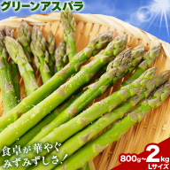 アスパラガス アスパラ グリーンアスパラ 選べる内容量 L サイズ 800g (400g×2) 1kg (500g×2) 2kg (500g×4) 門別町農業協同組合(生活資材課) 《4月中旬-5月末頃出荷予定》北海道 日高町 送料無料 春野菜 春 朝採り 朝採れ お取り寄せ