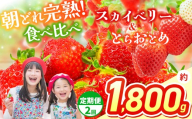 【先行予約】【定期2回】スカイベリー＆とちおとめ 食べ比べ 300g×2×3箱 | 果物 くだもの フルーツ 野菜 やさい ヤサイ 苺 イチゴ いちご とちおとめ スカイベリー 食べ比べ 新鮮 甘い 数量 限定 美味しい 果物 フルーツ デザート 栃木県 那珂川町 送料無料