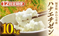 【先行予約】【令和8年産】定期便 ≪12ヶ月連続お届け≫ ハナエチゼン 精米 10kg（計120kg）（長谷川農園） / 北陸 福井県産 あわら市 ブランド米 白米 お米 コメ ※2026年10月より順次発送予定  [aw139-n002]