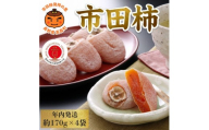 【年内発送】南信州産GI登録商品【市田柿】 約170g×4袋＜2026年12月中旬～発送予定＞