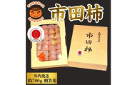 【年内発送】南信州産GI登録商品【市田柿】 約700g＜贈答＞＜2026年12月中旬～発送予定＞