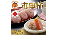 【年明発送】南信州産GI登録商品【市田柿】 約170g×4袋＜2027年1月中旬～発送予定＞