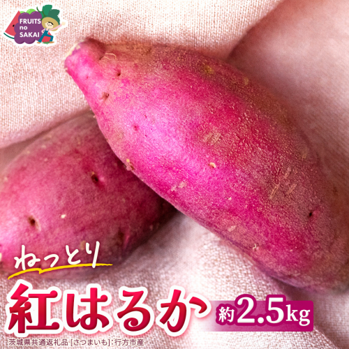 紅はるか 約 2.5kg （茨城県共通返礼品 [さつまいも]：行方市産） べにはるか さつまいも 生芋 芋 サツマイモ 甘い 焼き芋 スイートポテト ねっとり 茨城県産 お取り寄せ 野菜 根菜 いも [FC83-NT] 2742172 - 茨城県つくばみらい市