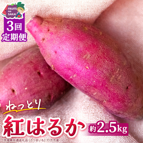 紅はるか 約 2.5kg （3回 定期便 ）（茨城県共通返礼品 [さつまいも]：行方市産） べにはるか 3か月定期便 定期便 べにはるか さつまいも 生芋 芋 サツマイモ 甘い 焼き芋 スイートポテト ねっとり 茨城県産 お取り寄せ 野菜 根菜 いも [FC84-NT] 2742211 - 茨城県つくばみらい市