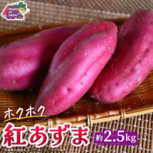 紅あずま 約 2.5kg （茨城県共通返礼品 [さつまいも]：行方市産） さつまいも サツマイモ べにあずま 芋 いも 野菜 根菜  茨城県産 お取り寄せ 野菜 根菜 いも [FC86-NT] 2742213 - 茨城県つくばみらい市