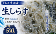 訳あり 生しらす 500g 小分け 簡易包装 愛知県 南知多町