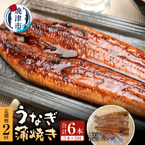 a50-152　【定期便】静岡県産　うなぎ蒲焼き 3本×2回 2742636 - 静岡県焼津市