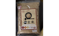 早炊き玄米　10kg【1765096】