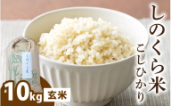 【令和8年度 新米先行受付】しのくら米（こしひかり）玄米10kg | 玄米 大野市 福井県 常温