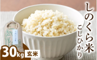 【令和8年度 新米先行受付】しのくら米（こしひかり）玄米30kg | 玄米 大野市 福井県 常温