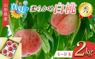 真夏の白桃 2kg 秀品 柔らかめの品種 FSY-2754