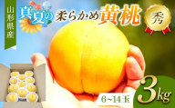 真夏の黄桃 3kg 秀品 柔らかめの品種 FSY-2753