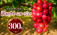 【2026年先行予約】訳あり 信州桔梗ヶ原産 こだわりのクイーンルージュ® 約300g｜クイーンルージュ® 訳あり 訳アリ ぶどう 葡萄 フルーツ 果物 塩尻市 長野県 信州