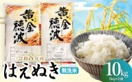 【令和8年産】はえぬき 無洗米10kg(5kg×2袋) 山形県鶴岡市 らん工房 | 10キロ 米 お米 おこめ コメ こめ 食品 ご飯 ごはん おいしい お取り寄せ 農家直送 お弁当 おにぎり 東北 国産 おすすめ 人気 返礼品