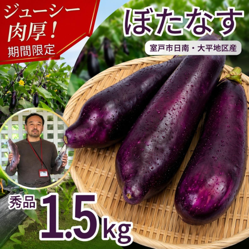 【 伝統野菜 ぼたなす 秀品 1.5kg 】 なす ナス ボタナス 焼きナス ナスレシピ 野菜 とろける食感 クリーミー 人気 お取り寄せ 野菜セット 甘い 産地直送 新鮮 野菜 希少 吉良川町 日南 大平 集落活動センター ひなたぼっこ 高知県 室戸市 2743546 - 高知県室戸市