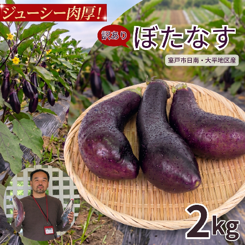 訳あり品 【 伝統野菜 ぼたなす 訳あり 2kg 】 なす ナス ボタナス 焼きナス ナスレシピ 野菜 とろける食感 クリーミー 人気 お取り寄せ 詰合せ 野菜セット 甘い 産地直送 新鮮 野菜 希少 吉良川町 日南 大平 集落活動センター ひなたぼっこ 高知県 室戸市 2743547 - 高知県室戸市