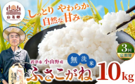 【定期便3回】令和8年産 ふさこがね 無洗米 10kg | あかかげ農園 メディアで紹介 !  無洗米 3回 山名郷米 やまなごう まい 千葉稲作 フサコガネ 千葉県産 米 コメ こめ お米 千葉県 君津市 きみつ