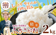 新米 令和8年産 ふさこがね 精米 2kg | あかかげ農園 メディアで紹介 !  精米 1回 山名郷米 やまなごうまい フサコガネ 千葉稲作 千葉県産 米 コメ こめ お米 千葉県 君津市 きみつ